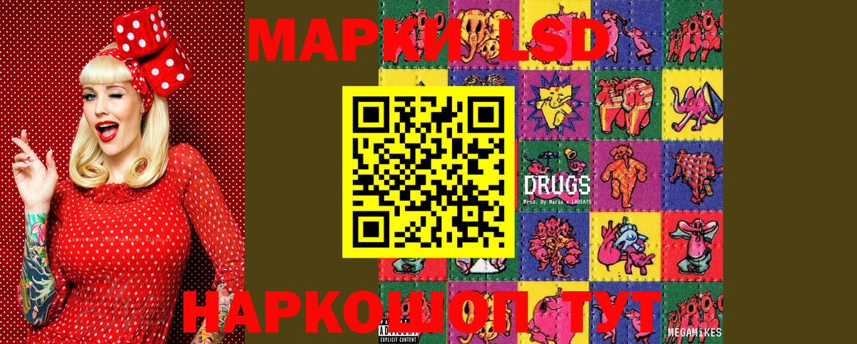 Псилоцибиновые грибы Новотроицк