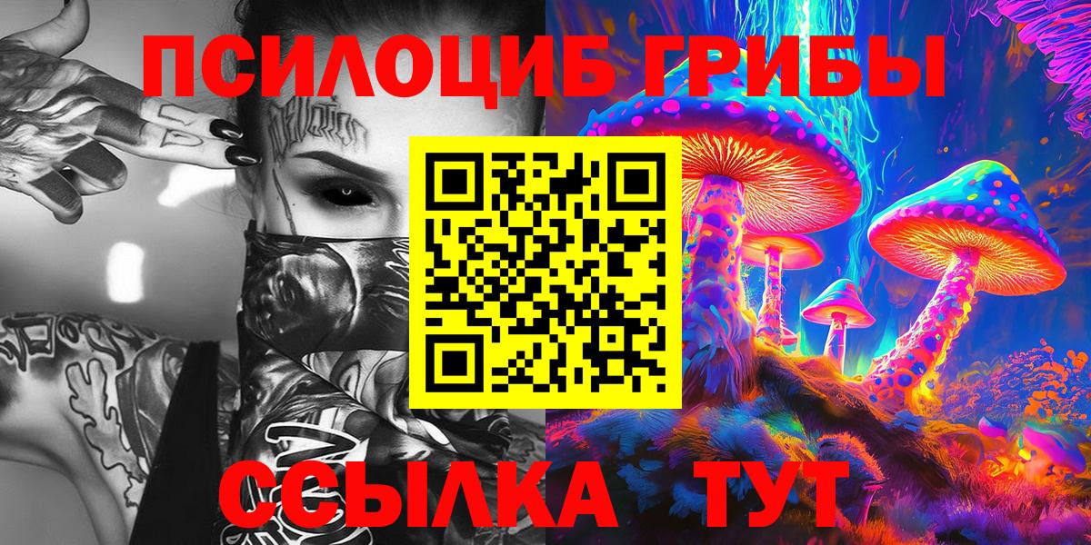 Галлюциногенные грибы Psilocybe Новотроицк